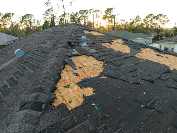 Best Rubber Roofing (EPDM, TPO)  in Glenwood Springs, CO